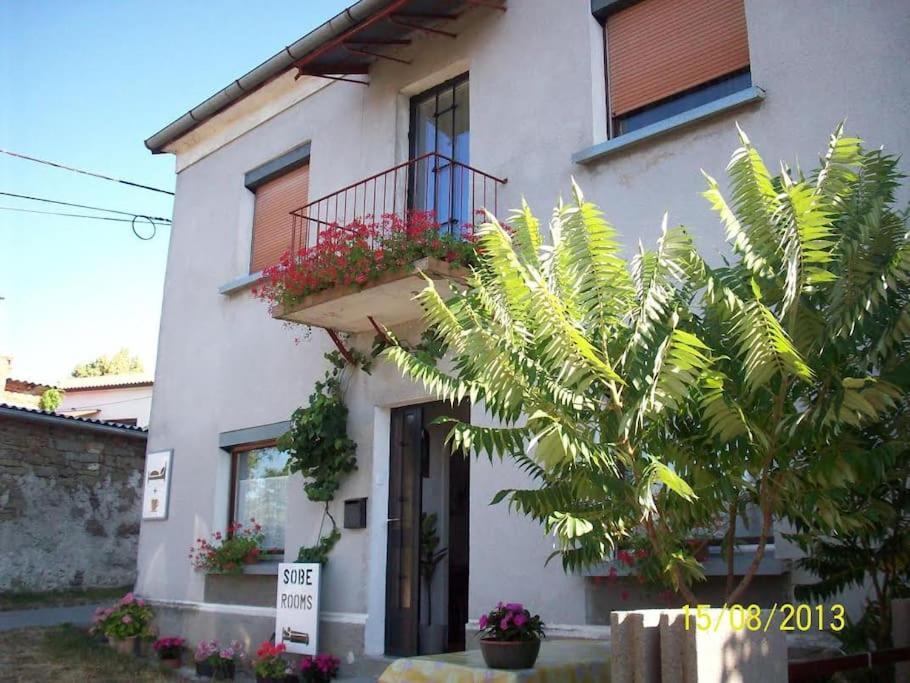 Cozy Rooms In Nature, Perfect For Relax Ilirska Bistrica Bagian luar foto