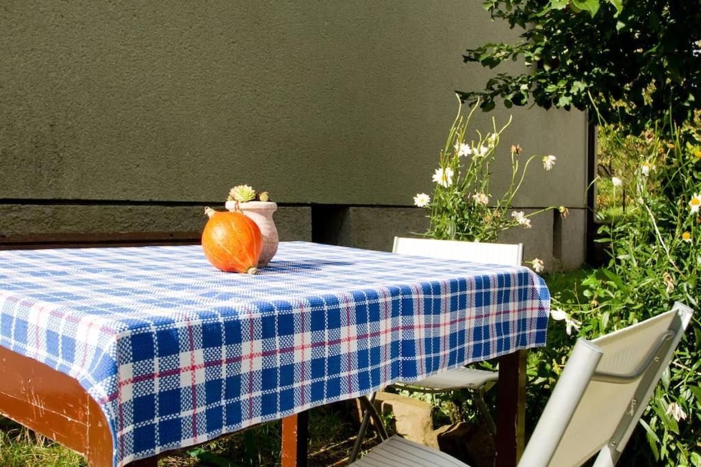 Cozy Rooms In Nature, Perfect For Relax Ilirska Bistrica Bagian luar foto
