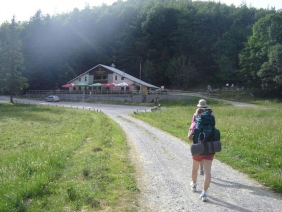 Cozy Rooms In Nature, Perfect For Relax Ilirska Bistrica Bagian luar foto