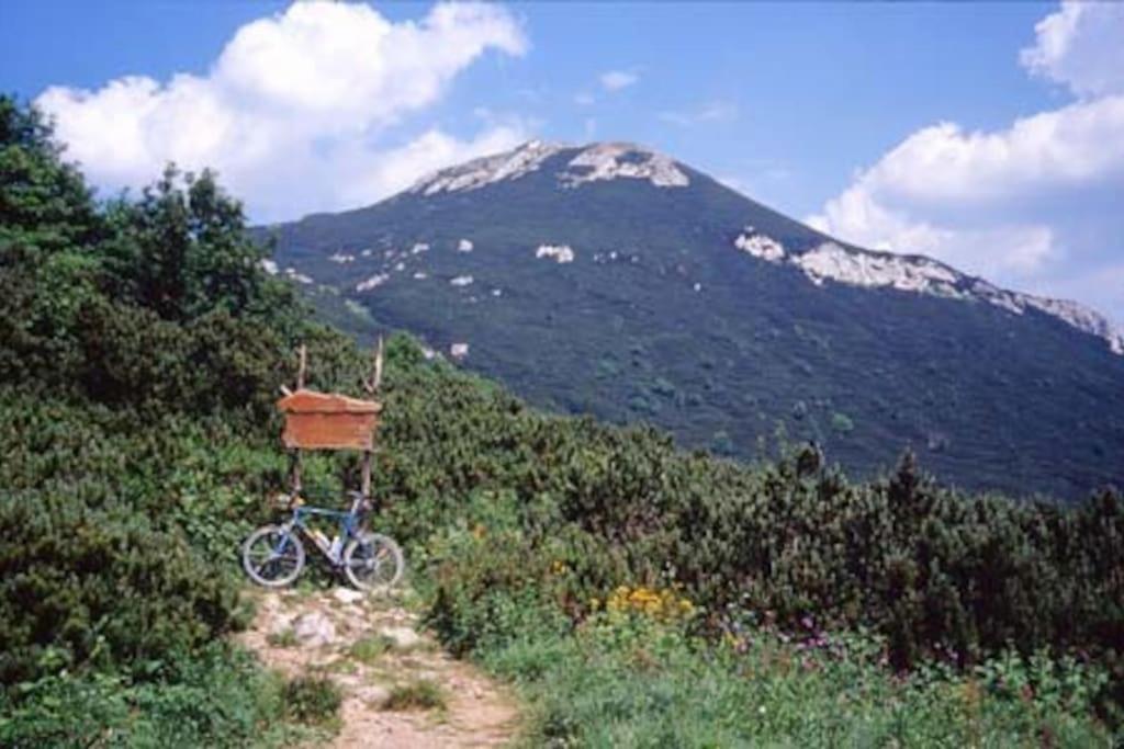Cozy Rooms In Nature, Perfect For Relax Ilirska Bistrica Bagian luar foto