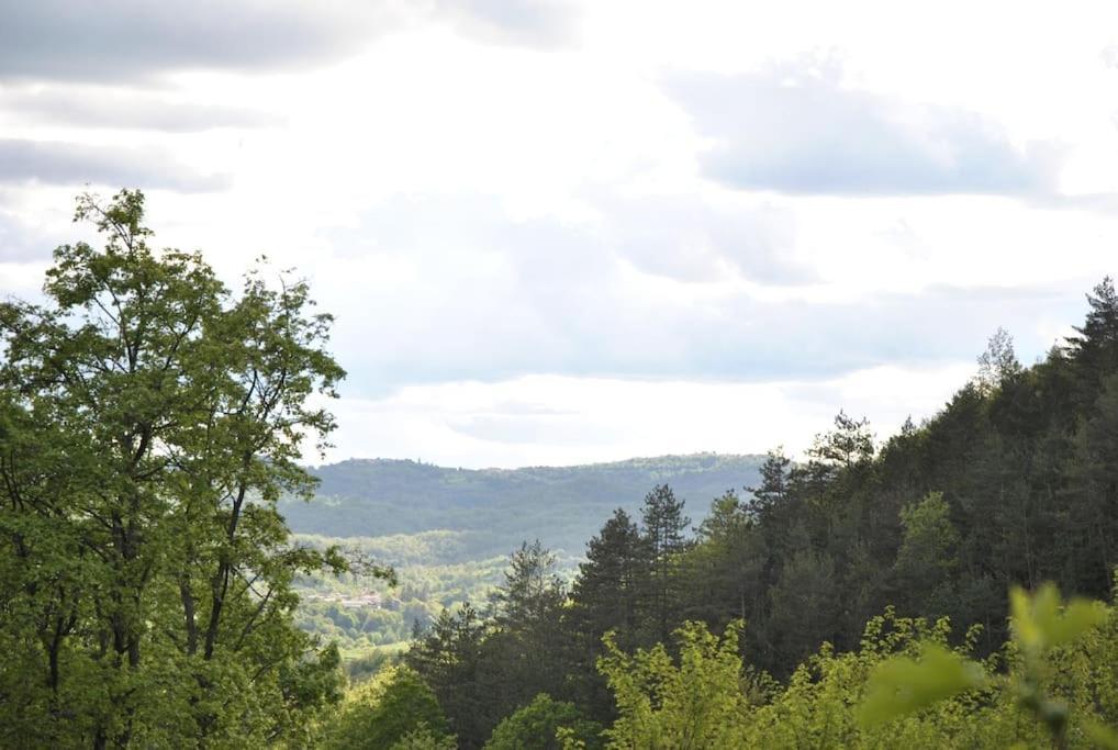 Cozy Rooms In Nature, Perfect For Relax Ilirska Bistrica Bagian luar foto
